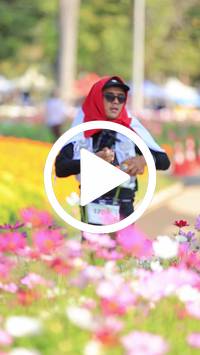 BIB:  <button type="button" onclick="openModal(27583810)" class="btn btn-primary btn-sm float-right" data-toggle="modal" data-target=".modal-high-quality">
                <i class="fa fa-download"></i> Download
                </button>